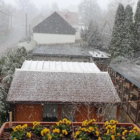 Ferienwohnung Landidylle Gieckau Buitenkant foto