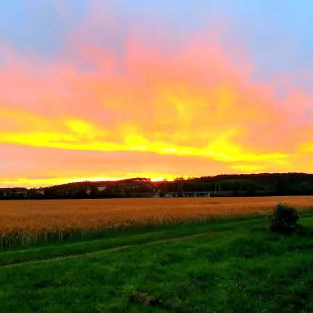 Ferienwohnung Landidylle Gieckau Buitenkant foto